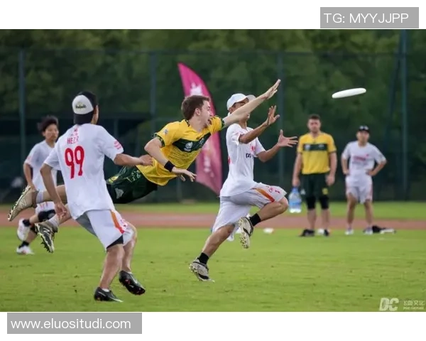 飞盘灵活性排行榜揭晓深圳飞盘队荣获第四名成就斐然