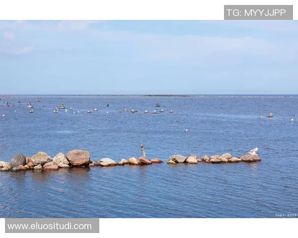 探索阿拉巴的魅力与文化底蕴，感受这片土地的独特风情与历史传承